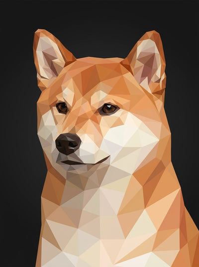 Example of Low Poly pet portrait