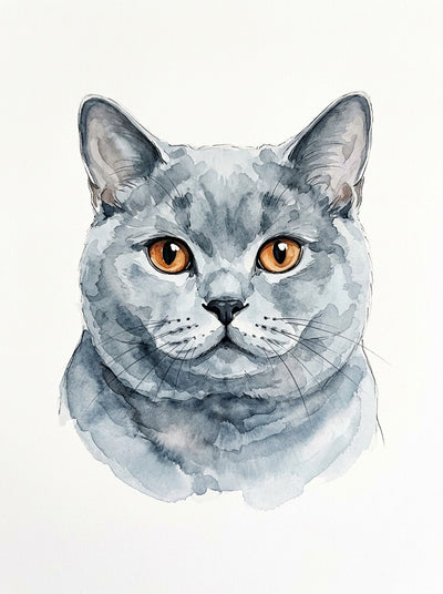 Example of Watercolour pet portrait