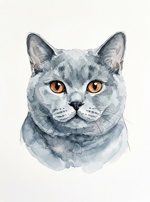 Example of Watercolour pet portrait